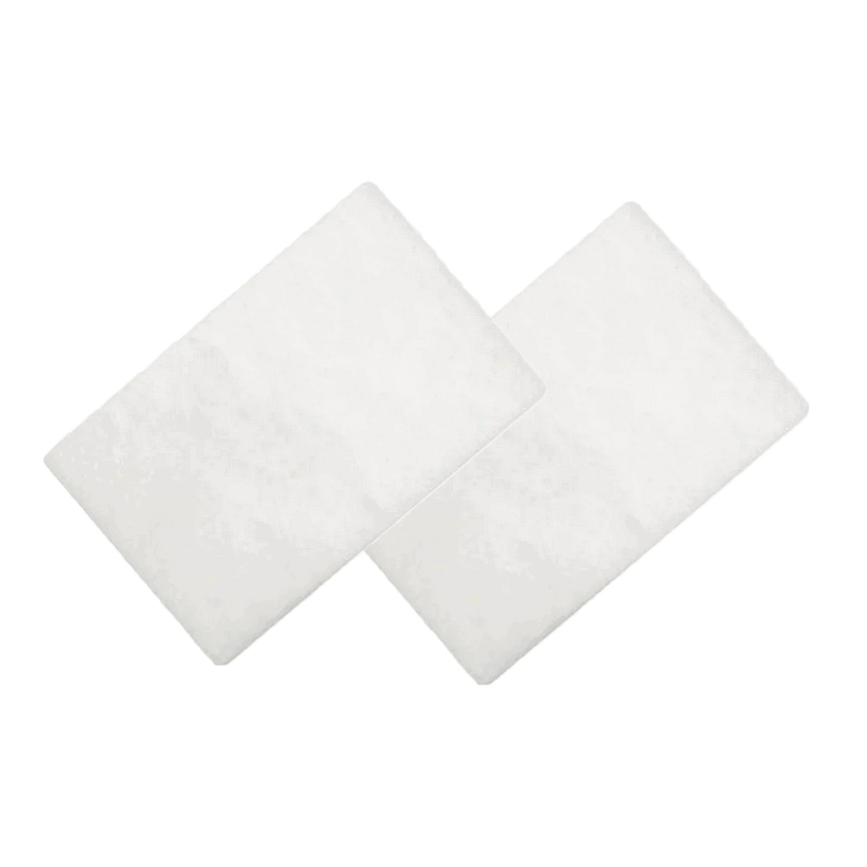 AirSense 11 Filters 2 Pack
